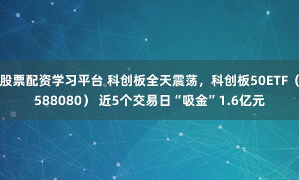 股票配资学习平台 科创板全天震荡，科创板50ETF（588080） 近5个交易日“吸金”1.6亿元