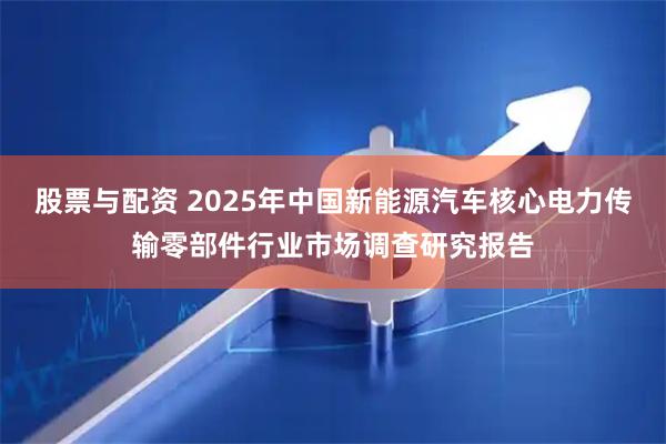 股票与配资 2025年中国新能源汽车核心电力传输零部件行业市场调查研究报告