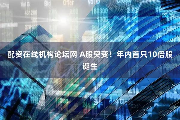 配资在线机构论坛网 A股突变！年内首只10倍股诞生