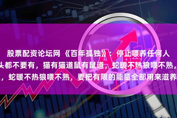 股票配资论坛网 《百年孤独》：停止喂养任何人，你连想改变别人的念头都不要有，猫有猫道鼠有鼠道，蛇暖不热狼喂不熟，要把有限的能量全部用来滋养自己